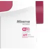 Швейная машина Minerva MC 550W